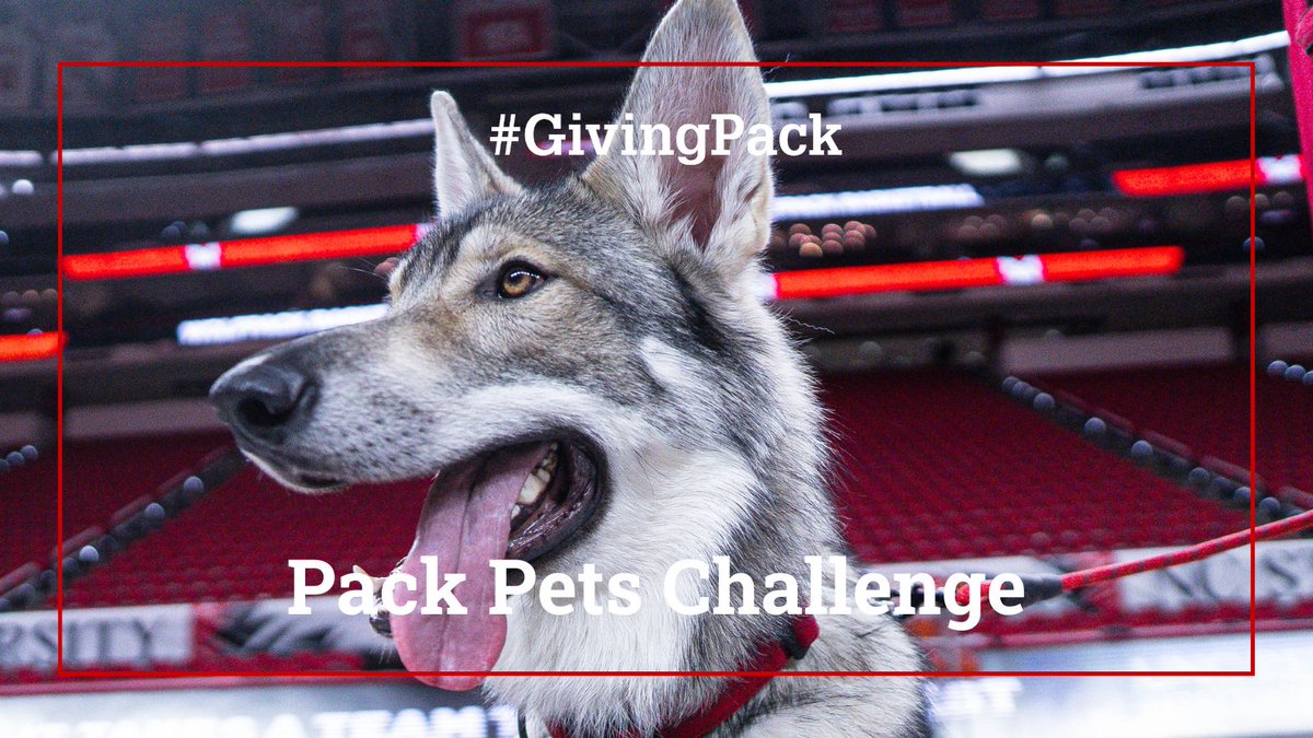 WOOFpack! We know your furry friends love NC State as much as you do. 🐶🐹🐴🐰🐱 

10–11 a.m. | 𝙋𝙖𝙘𝙠 𝙋𝙚𝙩𝙨 | 2 colleges/units win $1,000 each 

📸 Show us how your pets back the Pack. Post a photo, use #GivingPack and tag your favorite college/unit to help them win.