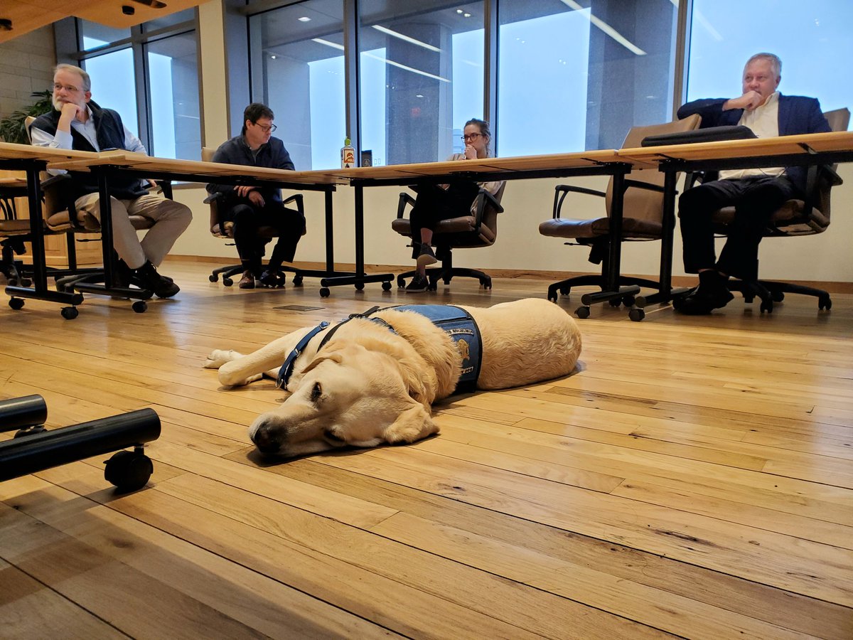 #WVUDayofGiving <a href="/wvudavis/">WVU Davis College</a>