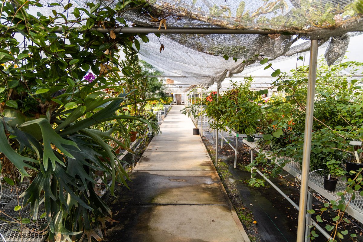 #WVUDayofGiving <a href="/wvudavis/">WVU Davis College</a>