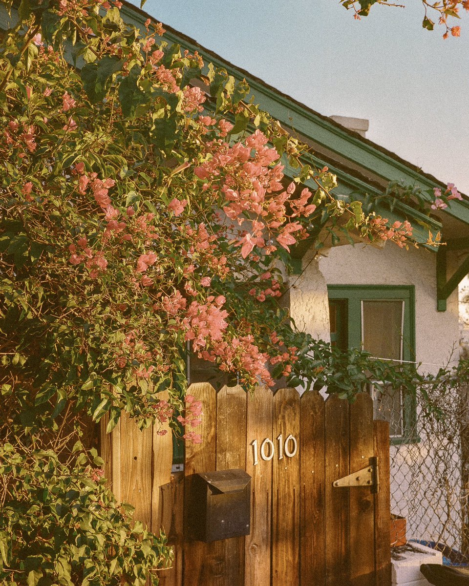 inthemeadow's tweet photo. photos i took in LA https://t.co/QMhtBVW5m1