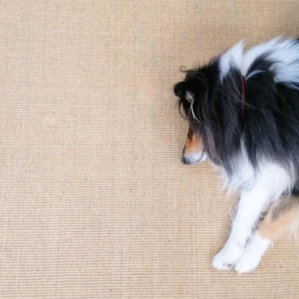 The end of the week is in sight and we've got everything you need to get that to do list done! 
✅ Fast Wifi
✅ Great tea and coffee
✅ Workspaces to suit everyone
✅ Dog friendly

Book your space today - lsibridport.co.uk/spaces
#CoWorking #lsibridport #dorsethotdesks #coworking