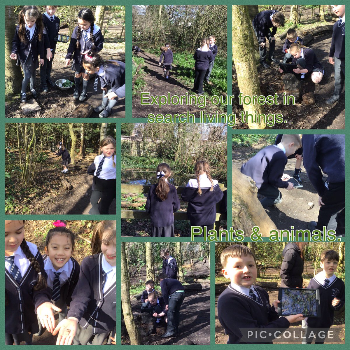 FPS_3_SHideout's tweet image. We photographed what we discovered &amp;amp; made our own PicCollages on the laptops. #fpsscience #fpscomputing