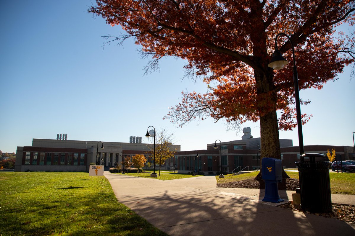 #WVUDayofGiving <a href="/wvudavis/">WVU Davis College</a>