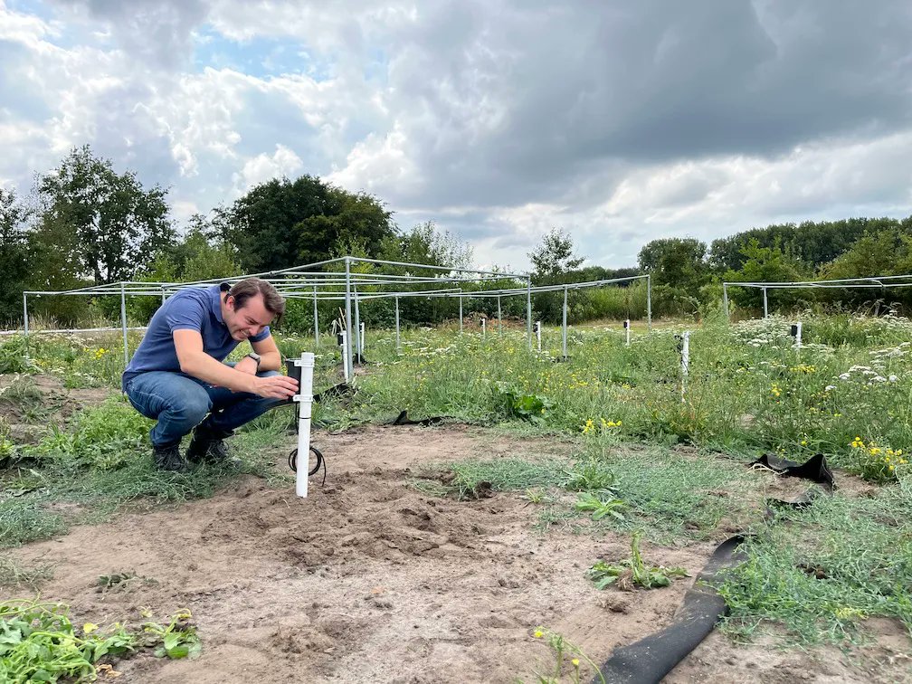 LandschErfgoed's tweet image. Universiteit Utrecht en Landschap Erfgoed Utrecht lanceren vandaag een driejarig onderzoek naar chronische droogte. Voor meer info zie youtu.be/cM3Q8dx0CNM? en biodiversiteitutrecht.nl. #droogteonderzoek #biodiversiteitutrecht