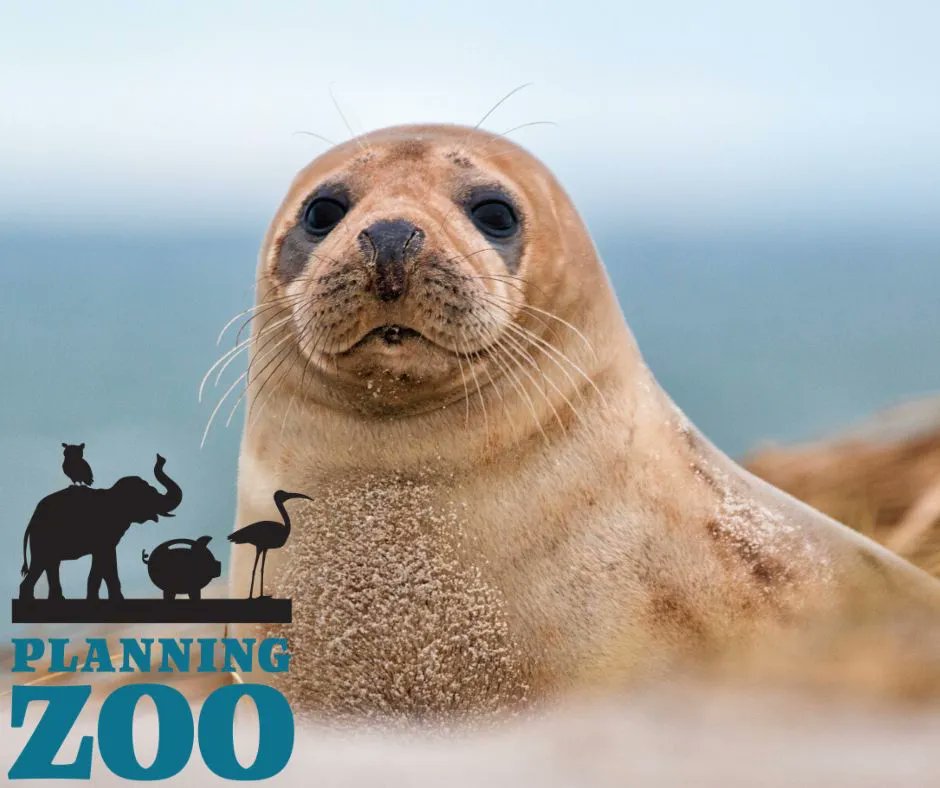 Did you know seals are the most targeted marine mammal on the planet?
Celebrate International Day of the Seal with us!