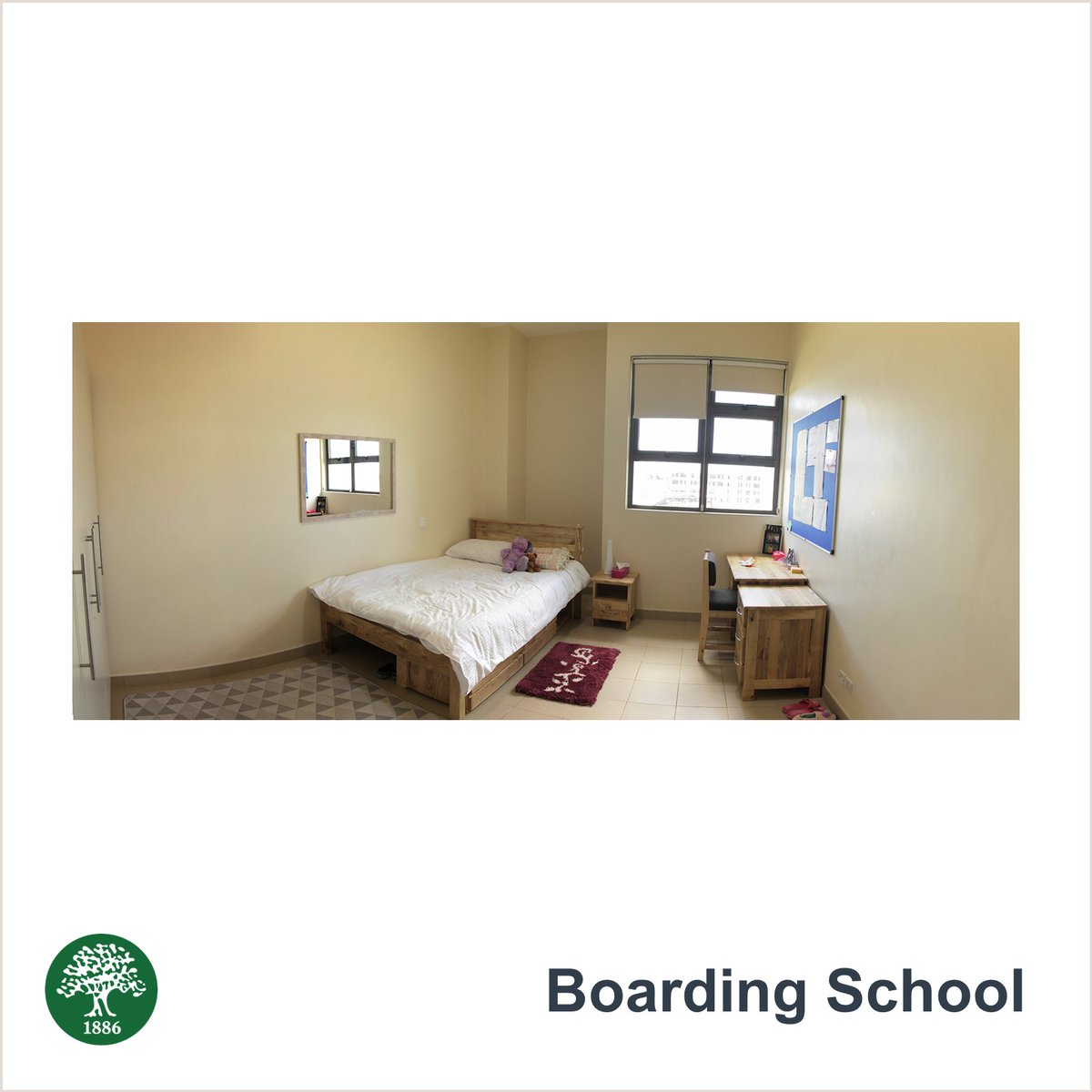 Our boarding house provides space in each room where the students can continue studying once they leave class. Boarding is available from grade 5.
Contact us today sabisrunda.sabis.net