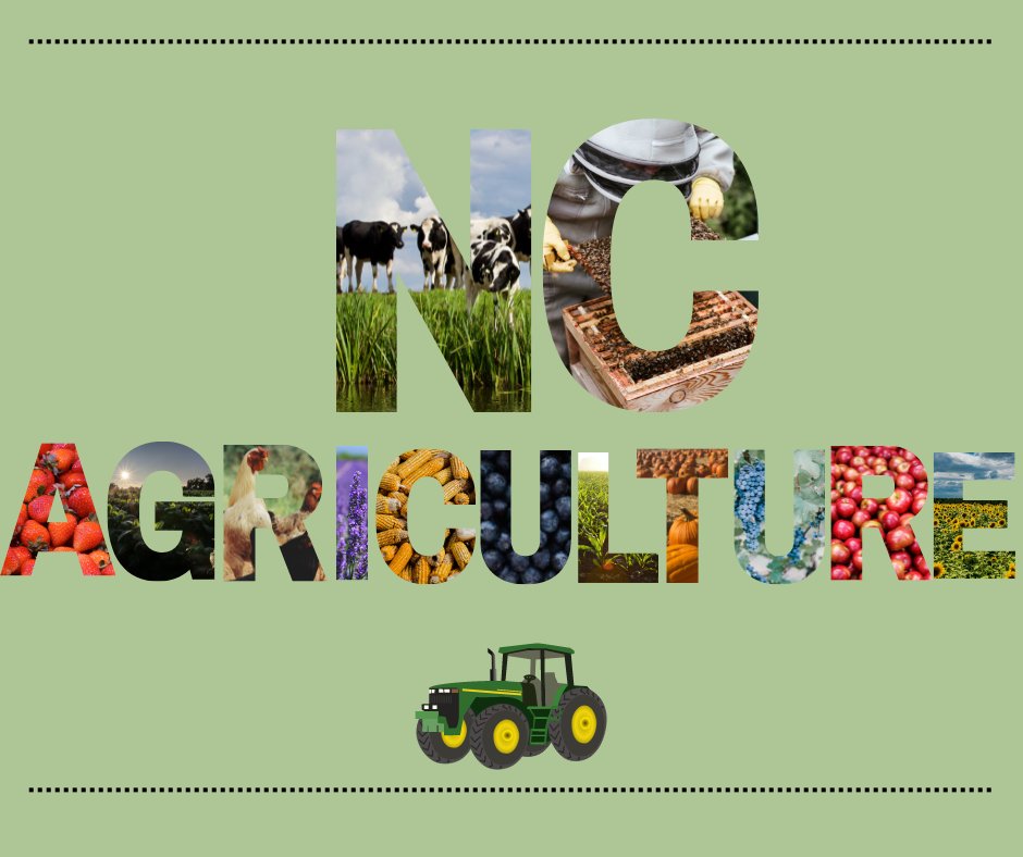 NCAgriculture's tweet photo. It's National Ag Week! Even though we like to celebrate N.C. Agriculture every day, this week is an extra special opportunity to show our appreciation for all those in the state who contribute. That includes YOU! Thank you for supporting N.C. agriculture. #NCAgriculture https://t.co/ElxeJvYqqU