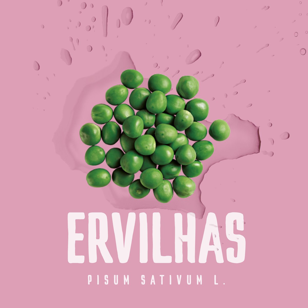 SNS_Portugal's tweet photo. Ervilha, uma leguminosa a incluir na sua alimentação! Conheça a sua riqueza nutricional. A ervilha é um alimento versátil que pode ser incluído em diversos pratos! Comer melhor, uma receita para vida! #Saúde #SNS #AlimentaçãoSaudável #Ervilhas @DGSaude https://t.co/P6JBETRU9r