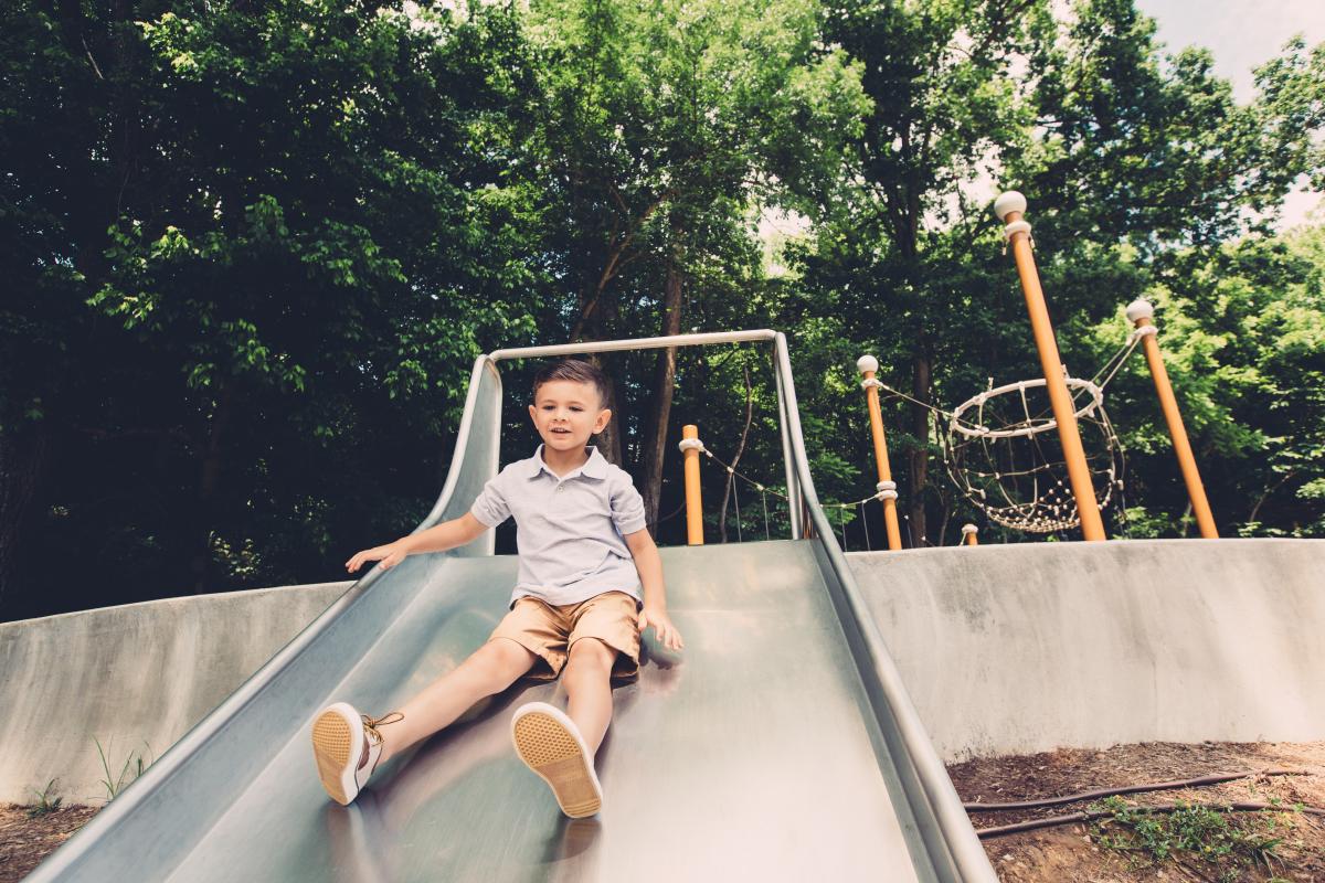 Destination Rogers tweet media