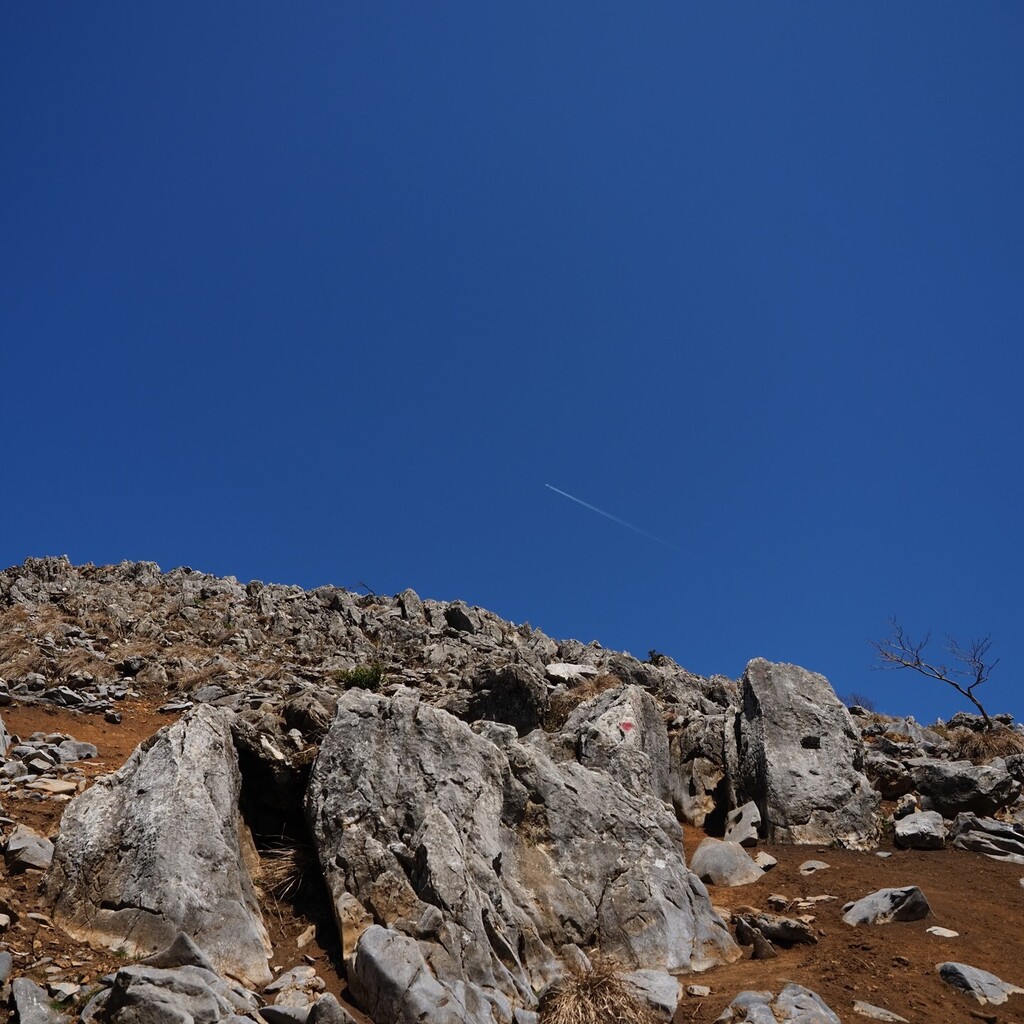 taratarariri's tweet photo. 久しぶりに登山してきた！！
やっぱりしんどかったけどカメラに収めきれないほど景色が良かった！！

#カメラ好きな人と繋がりたい #カメラ初心者 #カメラ#登山 #霊仙山 https://t.co/H8hKqZtAMH https://t.co/GJS13RTA89