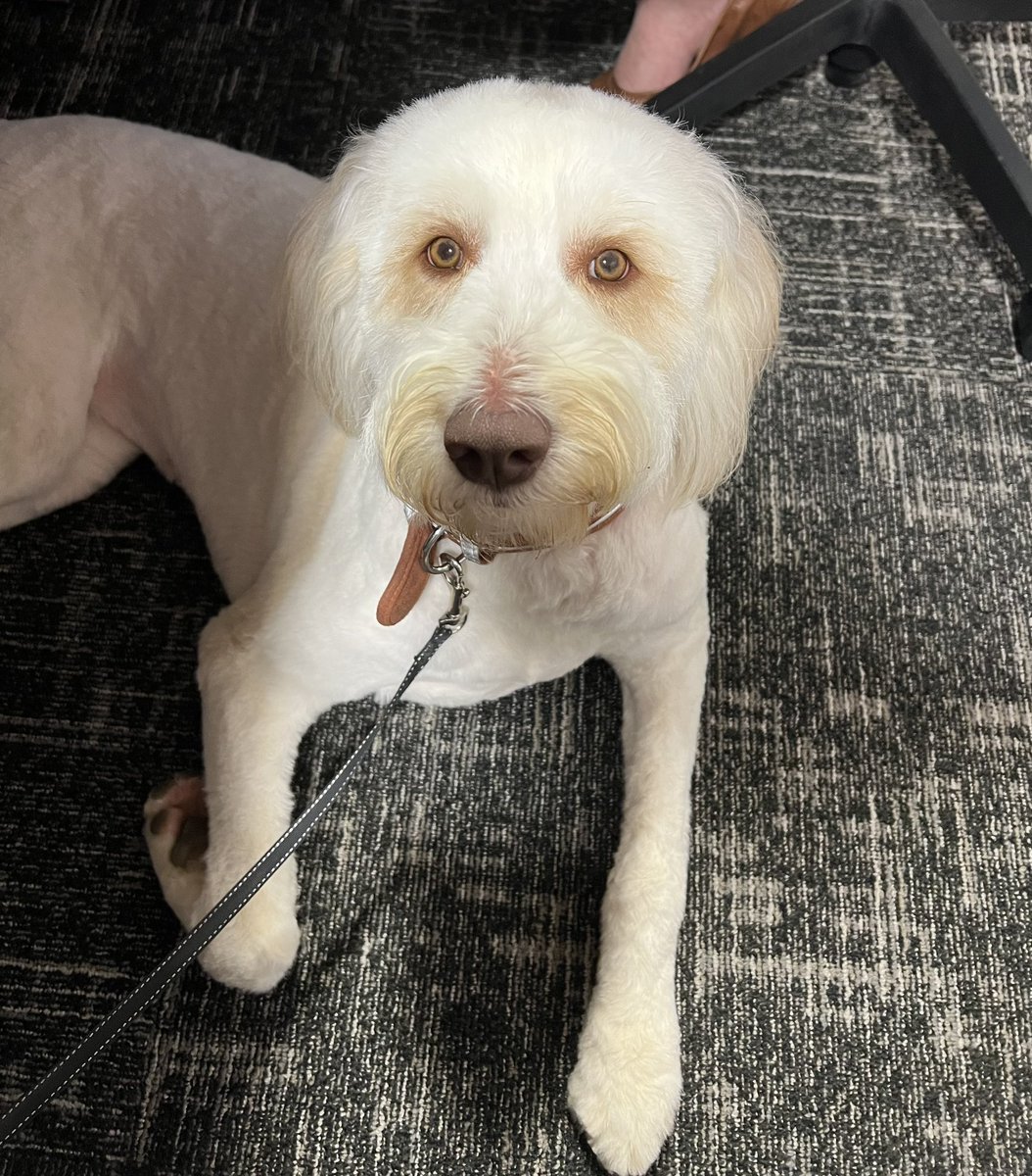 ChesterLMiller's tweet photo. Trinity is  #GivingPack to the Living and Learning Village Enhancement fund as part of DoG. @NCState @ncstatehousing https://t.co/uHtZeYSEc7