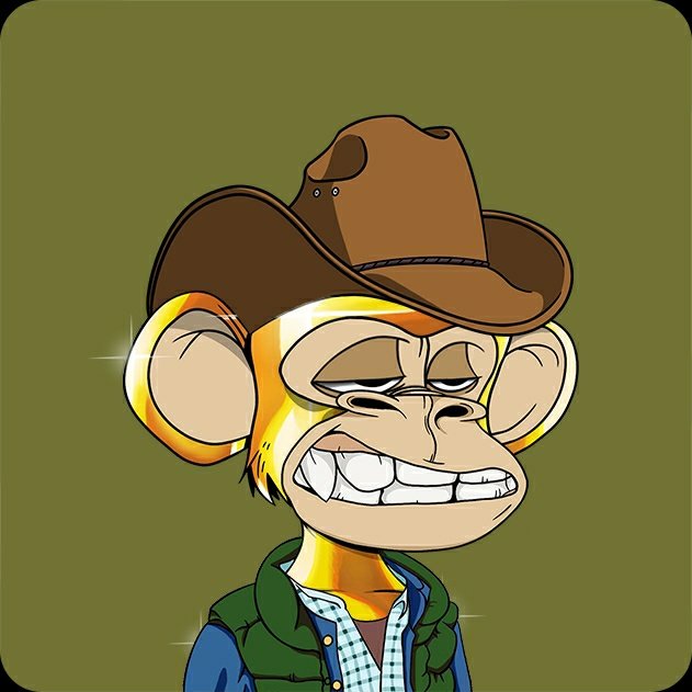 BOHR8881's tweet photo. @apes_chain https://t.co/9fm2DADYNf