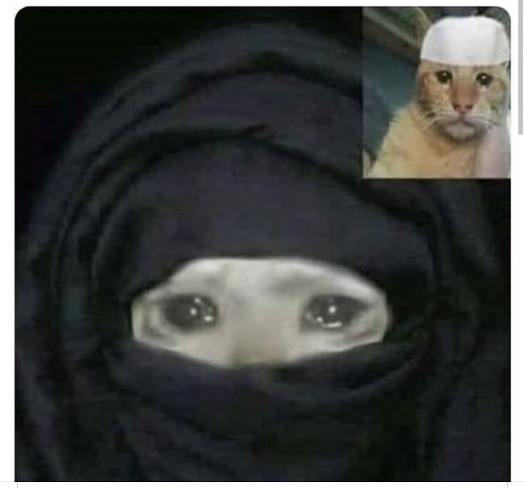 SaLman_13115's tweet photo. In a Normal Days ZARA Say to Jasi Ghouri banau na JASI  Mujhy Plzz😭😭

In Ramzan Jasi Kala and Zara Moti Be like 👇👇👇 https://t.co/tV1Tdnj9lt