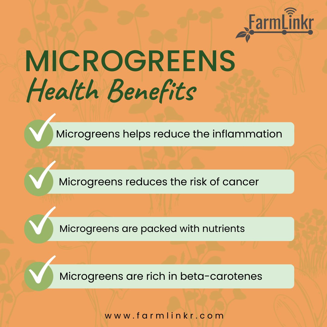 FarmLinkr's tweet photo. Microgreens are packed with benefits that will
help your body!
Grab Microgreens now at:
📍General Foods, Liguanea
📍Select Grocers: Manor Park
#farmlinkr #linkingyou #tolocalfarmers #hasselfree
#microgreens #jamaica https://t.co/Zyr1U1edua
