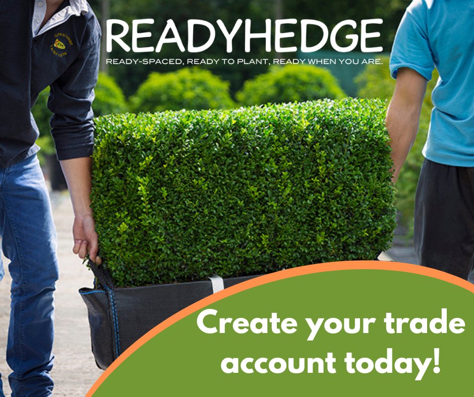 Readyhedge's tweet image. Attention tradespeople! 🛠🌿 Readyhedge offers bespoke quotes and exclusive discounts on a wide variety of hedges. Create your trade account today and find the perfect fit for your needs. Call 01386 750 585 to set up your account. #Readyhedge #HedgeSuppliers #TradeDiscounts 🌳💼