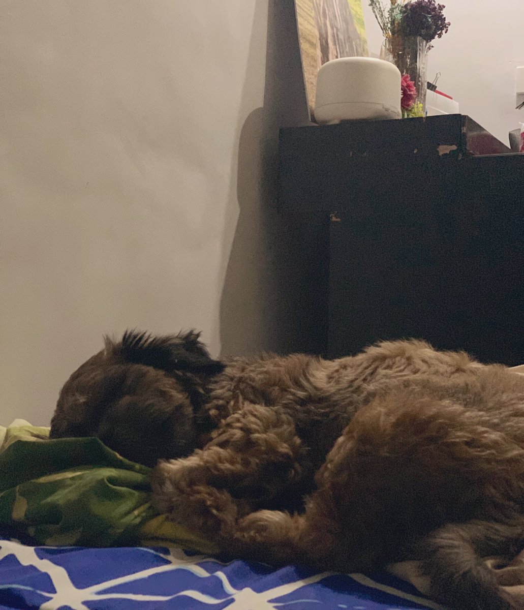 He’s tired and so am I.