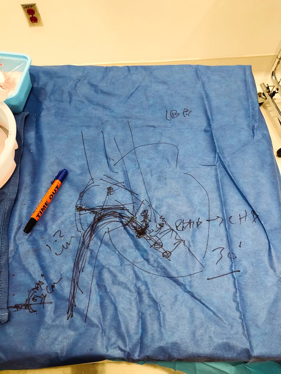 Yeraz Khachatoorian (@yerazkhachatoo1) on Twitter photo Spending quality time learning right heart cath techniques and hemodynamics with Dr Naidu <a href="/SrihariNaiduMD/">Srihari S. Naidu, MD</a> <a href="/WMCCardsFellows/">Westchester Medical Center Cardiology Fellowship</a> <a href="/ABaliMD/">Atul D. Bali, MD</a> <a href="/ameeshisath/">Ameesh Isath</a> <a href="/MalikMD10/">Aaqib Malik MD MPH</a> <a href="/AGoelMD/">Akshay Goel, MD</a> <a href="/dhrubajyoti1/">Dhrub Bandyopadhyay; MD, FACP, FACC</a> @DikshyaSharmaMD <a href="/ShazliKhanMD/">Shazli Khan</a> <a href="/MahmoudSamyMD/">Mahmoud Samy Ahmed</a> <a href="/UzairAMahmood1/">Uzair Mahmood</a> <a href="/PragyaRanjan/">Pragya Ranjan, MD, FACC</a> #CardioTwitter Spending quality time learning right heart cath techniques and hemodynamics with Dr Naidu <a href="/SrihariNaiduMD/">Srihari S. Naidu, MD</a> <a href="/WMCCardsFellows/">Westchester Medical Center Cardiology Fellowship</a> <a href="/ABaliMD/">Atul D. Bali, MD</a> <a href="/ameeshisath/">Ameesh Isath</a> <a href="/MalikMD10/">Aaqib Malik MD MPH</a> <a href="/AGoelMD/">Akshay Goel, MD</a> <a href="/dhrubajyoti1/">Dhrub Bandyopadhyay; MD, FACP, FACC</a> @DikshyaSharmaMD <a href="/ShazliKhanMD/">Shazli Khan</a> <a href="/MahmoudSamyMD/">Mahmoud Samy Ahmed</a> <a href="/UzairAMahmood1/">Uzair Mahmood</a> <a href="/PragyaRanjan/">Pragya Ranjan, MD, FACC</a> #CardioTwitter