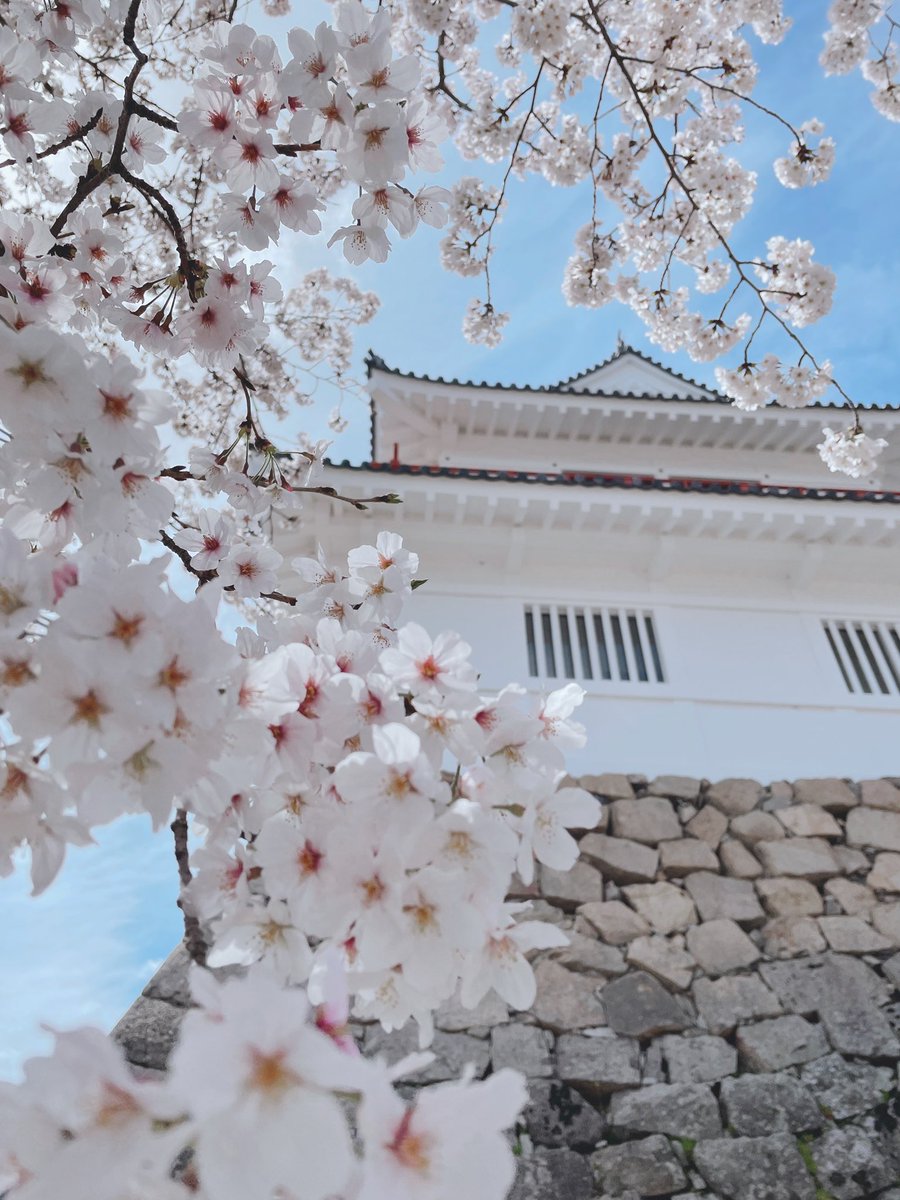 Sharla✨ tweet media