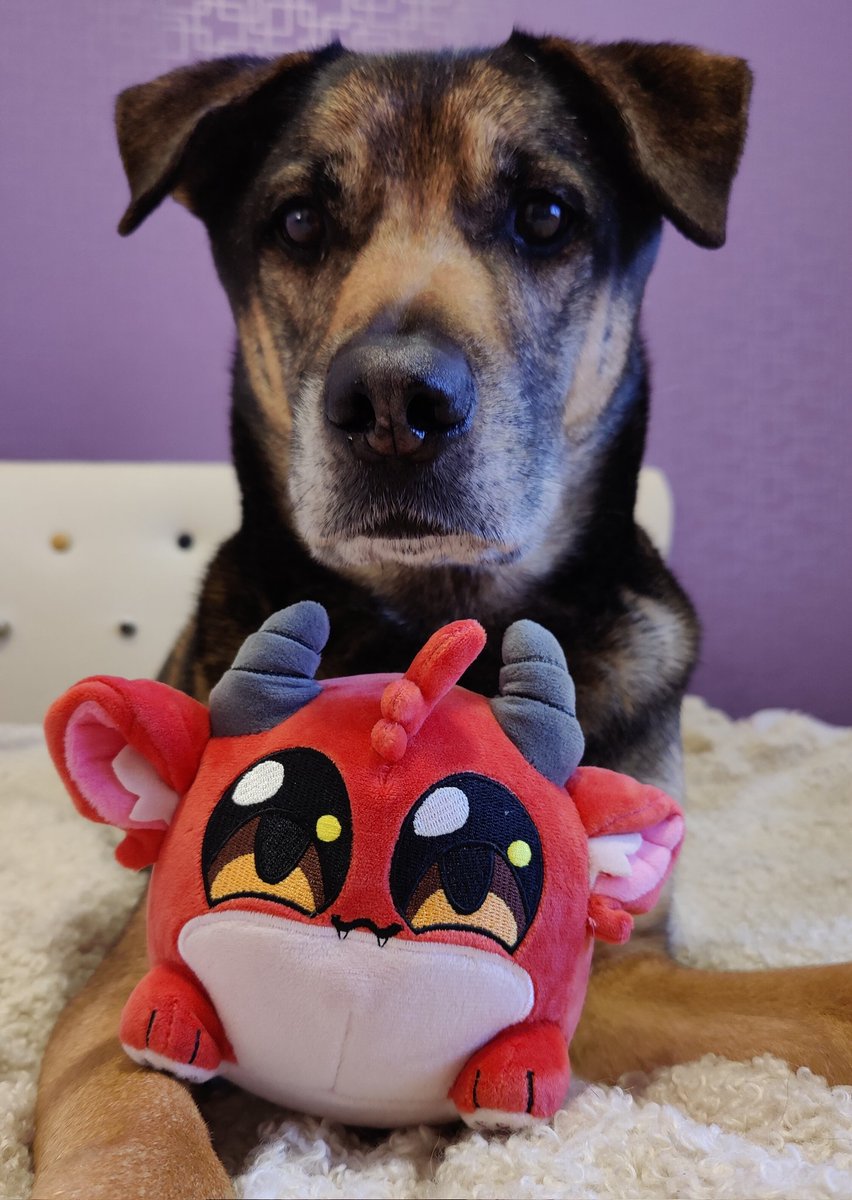 Trollkotten's tweet photo. @NotTheClick 
The demon has arrived!
Much happy, very cute.
Emotional Support Demon is the bäst 😍
/Hälsningar från Göteborg https://t.co/iFewq7FkY7