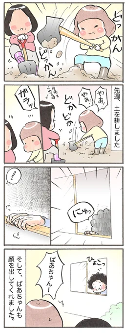 「始動」
#漫画が読めるハッシュタグ #畑 
#コミックエッセイ 