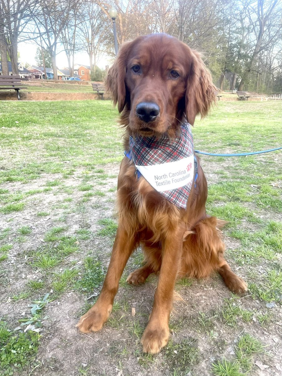 ihavealongtorso's tweet photo. Hudson is a big believer in #GivingPack @NCStateWilson https://t.co/HnRzImrtrj