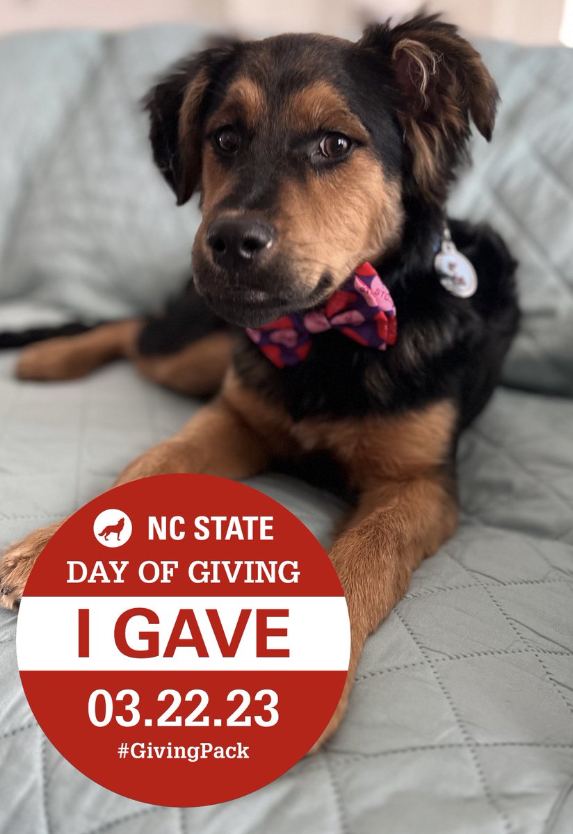 cpd54's tweet photo. #GivingPack @PackAthletics @NCState @NCStateCED https://t.co/c7UHULfNyb