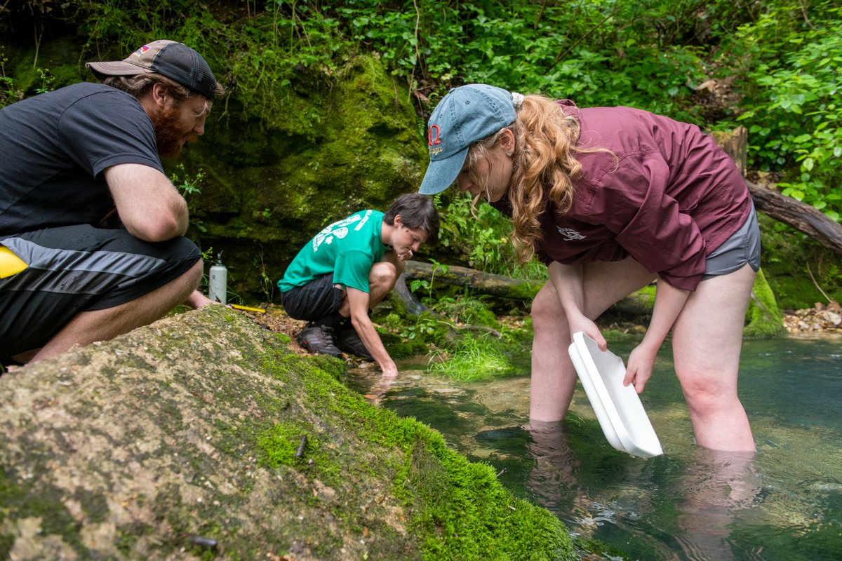 MissouriSandT's tweet image. It&apos;s #WorldWaterDay!💧🌊 S&amp;amp;T students are solving for global water challenges in class and out in the field. Miners are always #SolvingForTomorrow! ⛏️