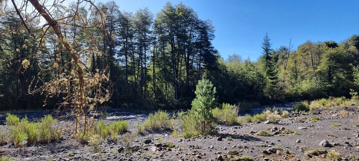 AkuchaPlateria's tweet photo. Mari mari kom pu che. Buen día a todos! Fachiantü desde el Pewenmapu saludamos al Ngen Ko #espiritudelagua #DiaMundialDelAgua
#leufu #río #Kalfuco #Cherquenko #tierra #de #nuestros #Ancestros #Wallmapu #Akucha #AkuchaPlateria #AkuchaTours
😉🙌🏾💙💧🌊 https://t.co/0bFMtBovYu