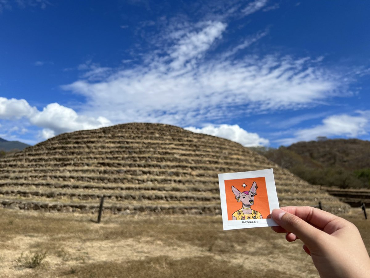 They Xolo - Minting NOW tweet media