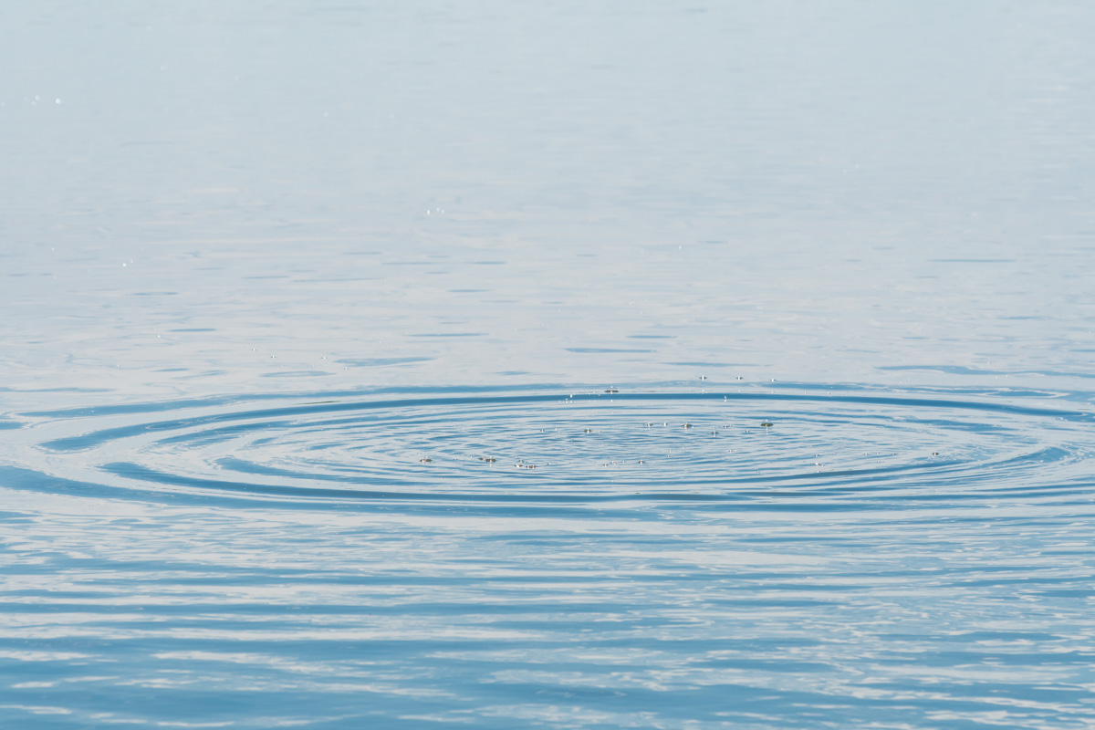 HarteResearch's tweet photo. Today is #WorldWaterDay! Water is an essential component of life and HRI is committed to researching and finding sustainable solutions that can improve water quality throughout the Gulf of Mexico, supporting both healthy habitats and healthier communities. 💧 https://t.co/hipPls2JBw
