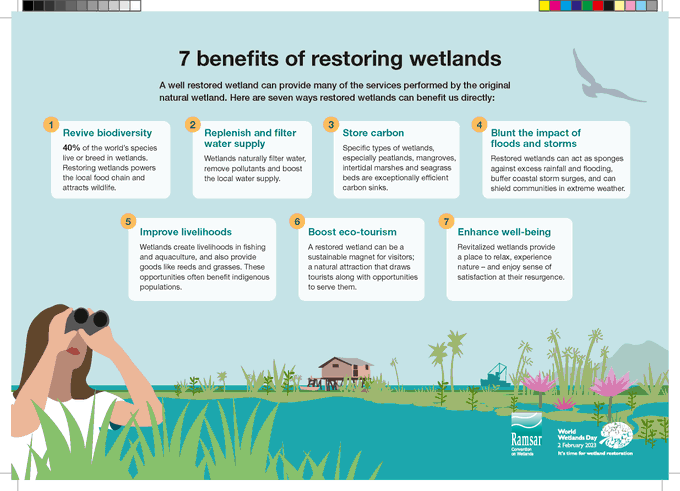 Wetland restoration helps:

1⃣Revive biodiversity
2⃣Improve water supply
3⃣Store carbon
4⃣Reduce extreme weather
5⃣Improve livelihoods
6⃣Boost eco-tourism
7⃣Enhance well-being

#GenerationRestoration #ForWetlands

worldwetlandsday.org

Via <a href="/UNEP_AsiaPac/">UN Environment Programme Asia Pacific</a>