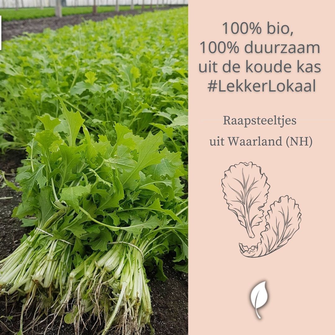 Ze zijn er weer: verse biologische raapsteeltjes van volle grond. 
Woon je in de buurt van Waarland (NH) dan vind je bij biologisch teler Carnas de groente in de kraam aan de weg. Verser kun je het niet krijgen! 

Hoe eet jij jouw raapsteeltjes het liefst?