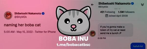 MauH1987's tweet image. In plaats van al die onzin kunnen ze beter worden voorbereid op #financialmatters bijv #crypto dat dat best #winstgevend kan zijn
#BOBAINU #DOGE 
dus laat die #lentekriebels maar zitten.