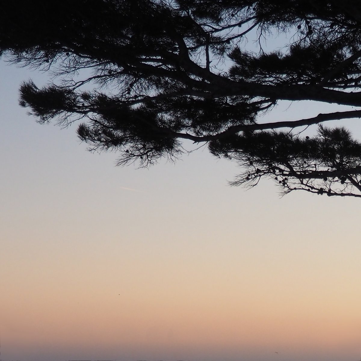 ArdentRevue's tweet photo. Nous voilà passés de la nature qui s’impose de toute sa force, à la nature outil, nature objet de notre imagination et esclave de nos mains. {…}

D’OÙ NOUS VIENT CE BESOIN DE NATURE ?

Un article à lire sur https://t.co/zu6wdpg41v

#pardelànatureetculture 
#pasdeplaneteb https://t.co/SwSO2EFiS7