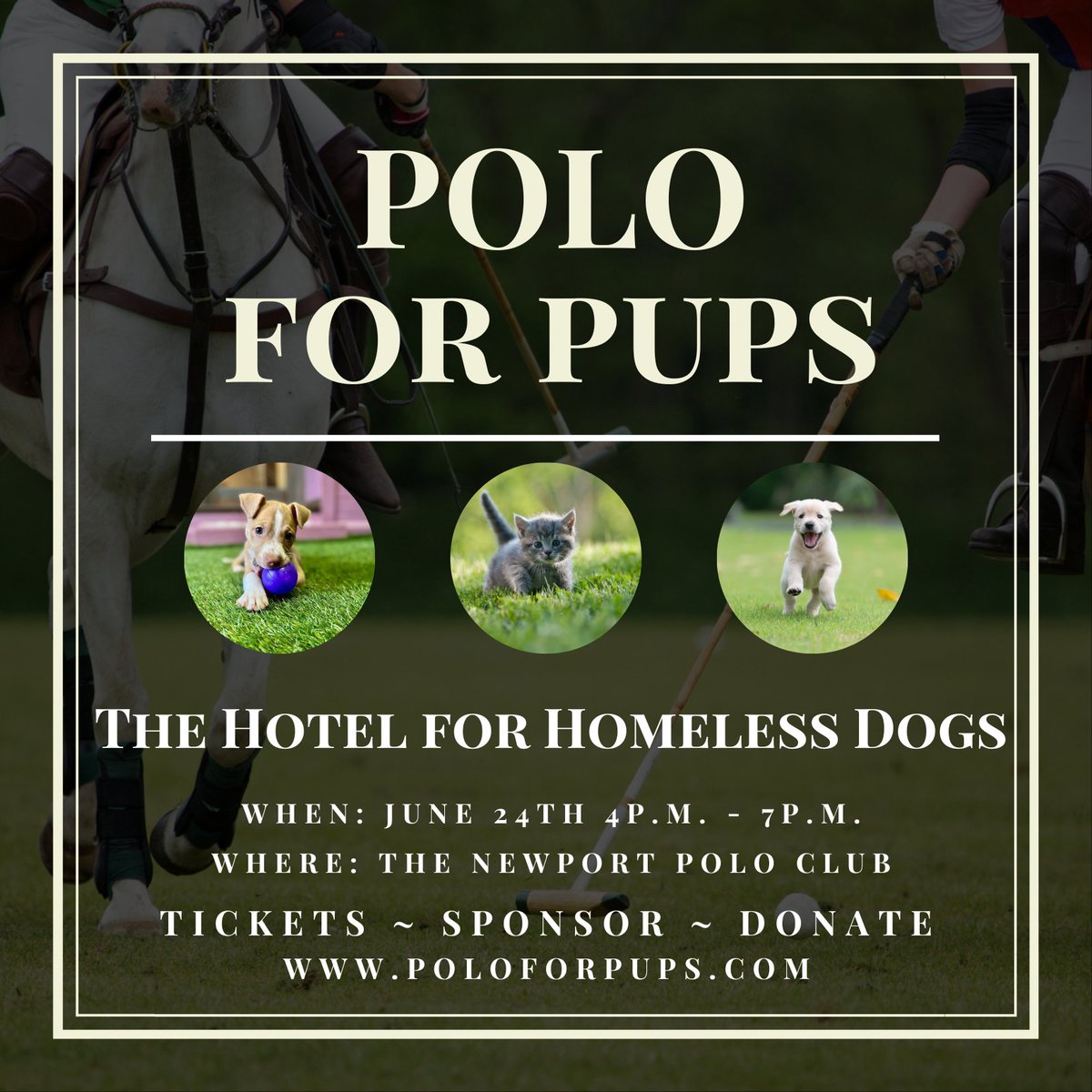 NEHSRescue's tweet photo. 🐴 Polo for Pups tickets are officially available online! Join us to benefit your favorite cause 🐶

🎟️ This will be a sell-out event with only 115 tickets available. 

🏩 Polo, fare, open bar and friends all at the beautiful Newport Polo Club! 

https://t.co/oo1vx91Mdy https://t.co/Ilwce65ntg