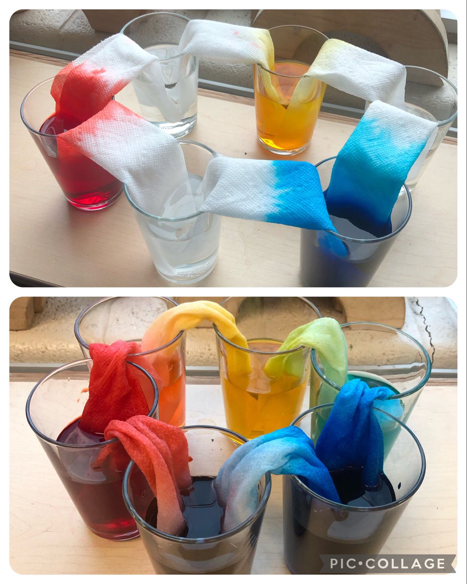 Look at our cool Walking Rainbow Experiment!!! “The primary colours made purple, orange and green” said one of our students❤️🌈