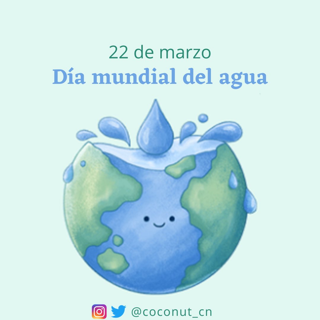 Poncho plaza tweet media