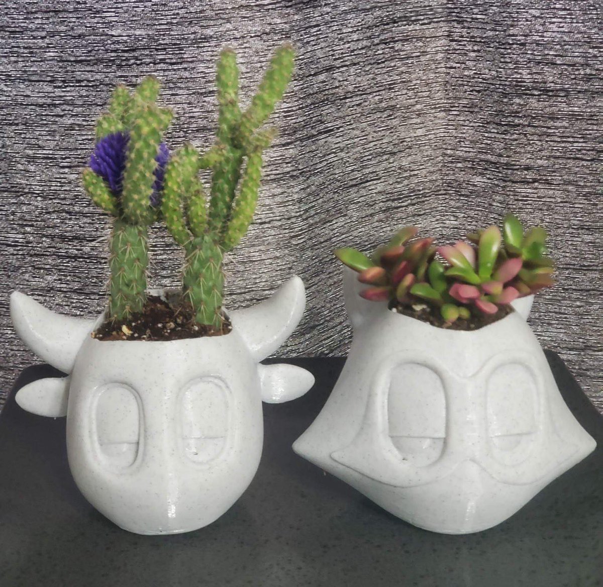 GM Beasts☕️

Where are my plant lovers?!