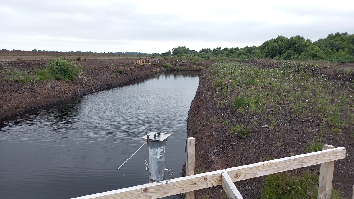 SWAMP_Project's tweet image. On #WorldWaterDay, let&apos;s shine the light on how a sustainable management of peatlands can help with poor water quality, scarcity and biota loss. 
Let&apos;s clean up our act, stop peatland degradation for the benefits of all.