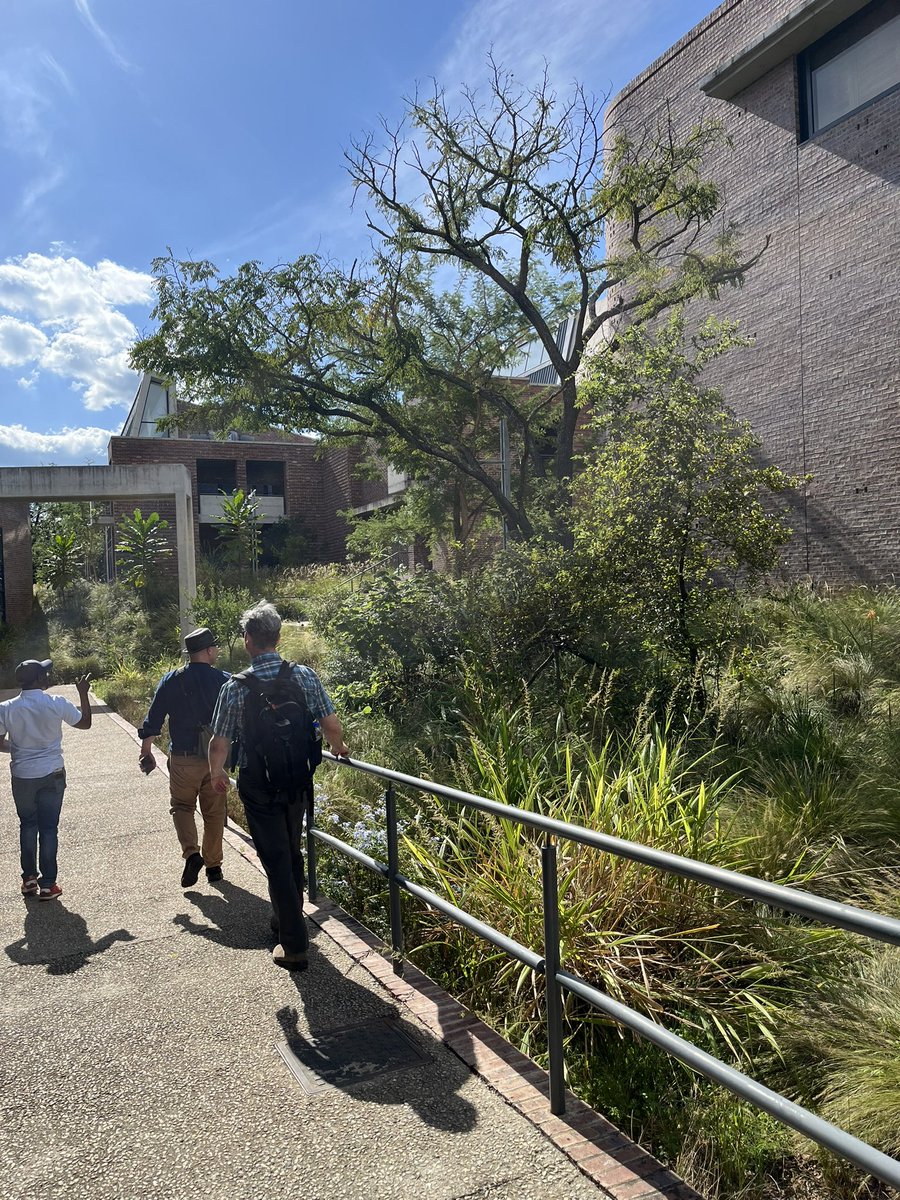 JaneHeadleyTL's tweet photo. This is our home campus for the next 10 days @UniMpumalanga. Lovely peaceful surroundings as we toured the Agricultural Sciences buildings (wearing my sunhat 👒!) Warmly welcomed by the VC, Dean and senior colleagues. Looking forward to working together on #pedagogy &amp; more https://t.co/wauZif08fw