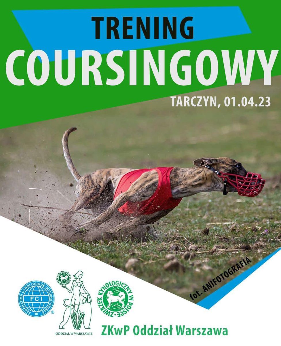 zkwpwaw's tweet image. 🟢 Wraz z team „Hard Chart – Charty Warszawa” serdecznie zapraszamy 1 kwietnia 2023 r. na trening coursingowy z możliwością odbycia biegów treningowych przedlicencyjnych oraz biegów licencyjnych. 

Więcej informacji na FB 👇🏻 

facebook.com/events/s/treni…

#psy #charty #dogs #dog #fci
