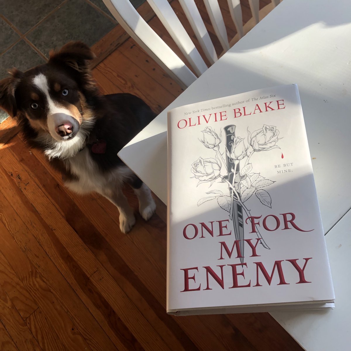 torbooks's tweet photo. "One for My Enemy is exquisitely written and immersive; you’ll feel like you just destroyed a box of chocolate truffles by the end of it. Do you feel devastated? Yes. Was it absolutely worth it? Also yes.” 

— @tordotcom on #OneForMyEnemy by @OlivieBlake 

https://t.co/681Q4aCaXG https://t.co/ur5nvd2syY