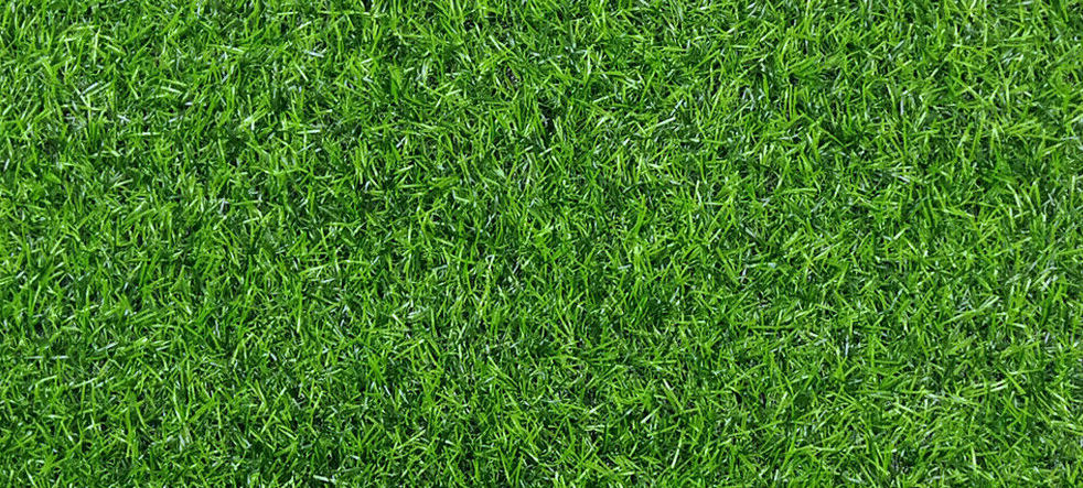 Langford, B.C. acknowledges natural turf along city boulevards is a better idea than artificial turf. Municipality says natural turf is cheaper and more environmentally friendly.
bit.ly/3FJeZt3