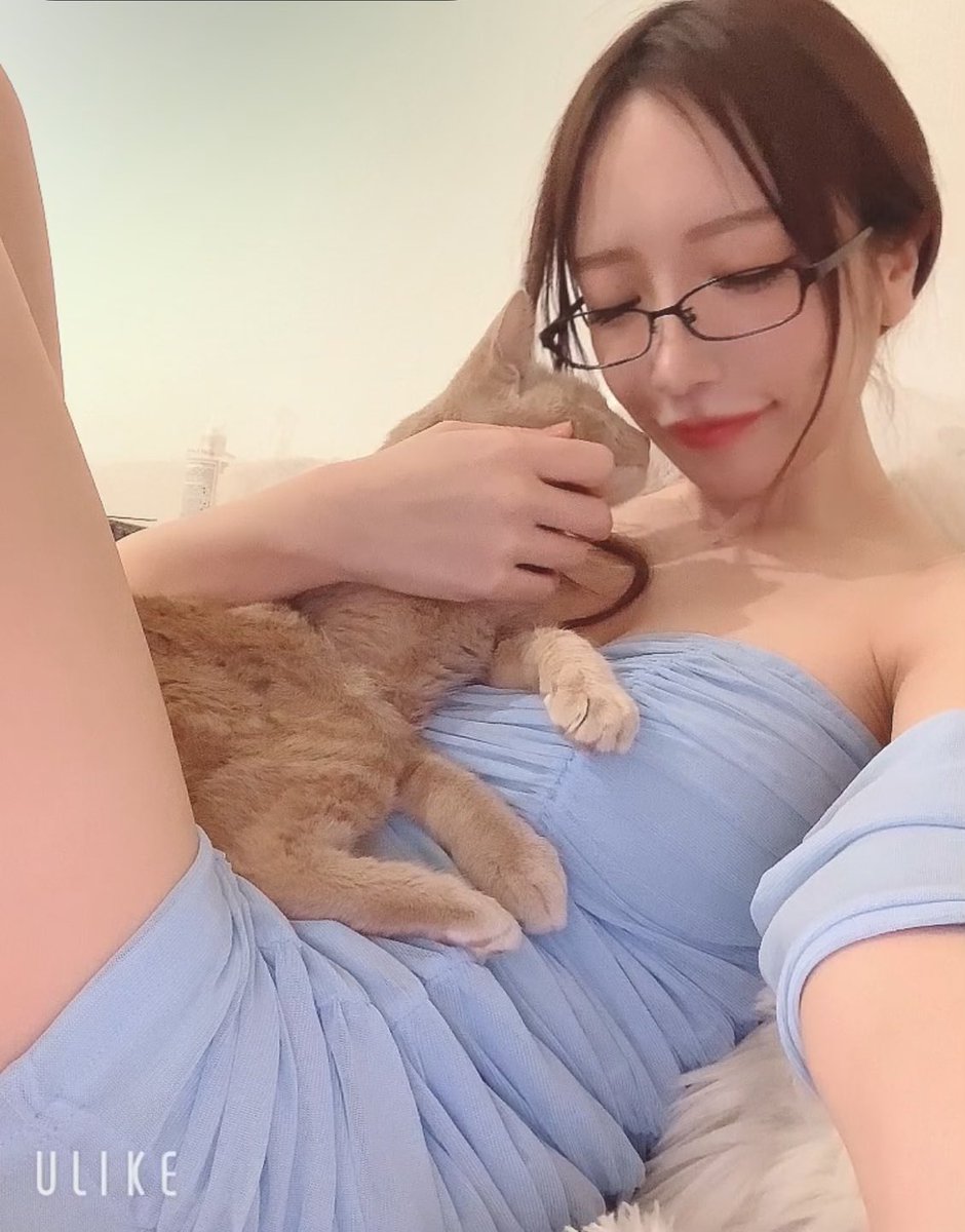ミアがお家にきて一年が経ちました。涙

野良猫だったミア
鬼怒川温泉で出会って
必ず幸せにすると誓って一年
元気いっぱいで
毎日幸せそうな寝顔見れて幸せです…

本当に猫ちゃん？ってぐらい
甘えたさんで
いつでもどこでも(家の中で)
ずーっと私と一緒で、愛おしいです。
心許してくれてありがとう https://t.co/pyvyoqYVqV