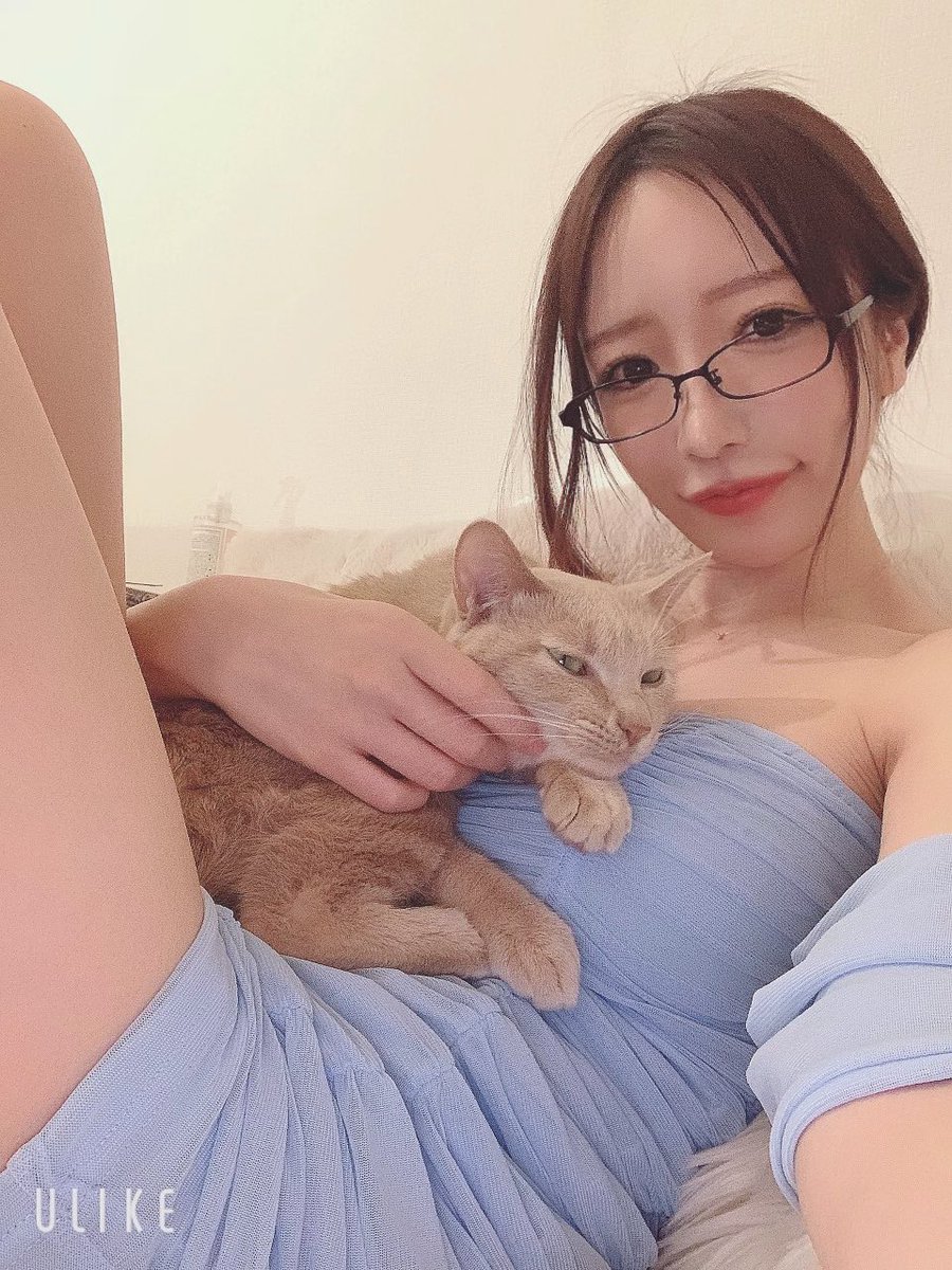 ミアがお家にきて一年が経ちました。涙

野良猫だったミア
鬼怒川温泉で出会って
必ず幸せにすると誓って一年
元気いっぱいで
毎日幸せそうな寝顔見れて幸せです…

本当に猫ちゃん？ってぐらい
甘えたさんで
いつでもどこでも(家の中で)
ずーっと私と一緒で、愛おしいです。
心許してくれてありがとう https://t.co/pyvyoqYVqV