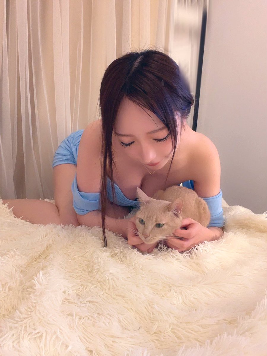 ミアがお家にきて一年が経ちました。涙

野良猫だったミア
鬼怒川温泉で出会って
必ず幸せにすると誓って一年
元気いっぱいで
毎日幸せそうな寝顔見れて幸せです…

本当に猫ちゃん？ってぐらい
甘えたさんで
いつでもどこでも(家の中で)
ずーっと私と一緒で、愛おしいです。
心許してくれてありがとう https://t.co/pyvyoqYVqV