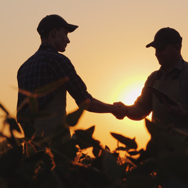 NKSeedsCanada's tweet photo. Vous avez besoin d'aide pour trouver le bon hybride ou la bonne variété NK pour votre champ ? Nos représentants sont là pour vous donner de précieux conseils et vous faire profiter de leur expérience et de leur expertise.  https://t.co/2KEAXg4ULp https://t.co/bsg9ZQf9eQ