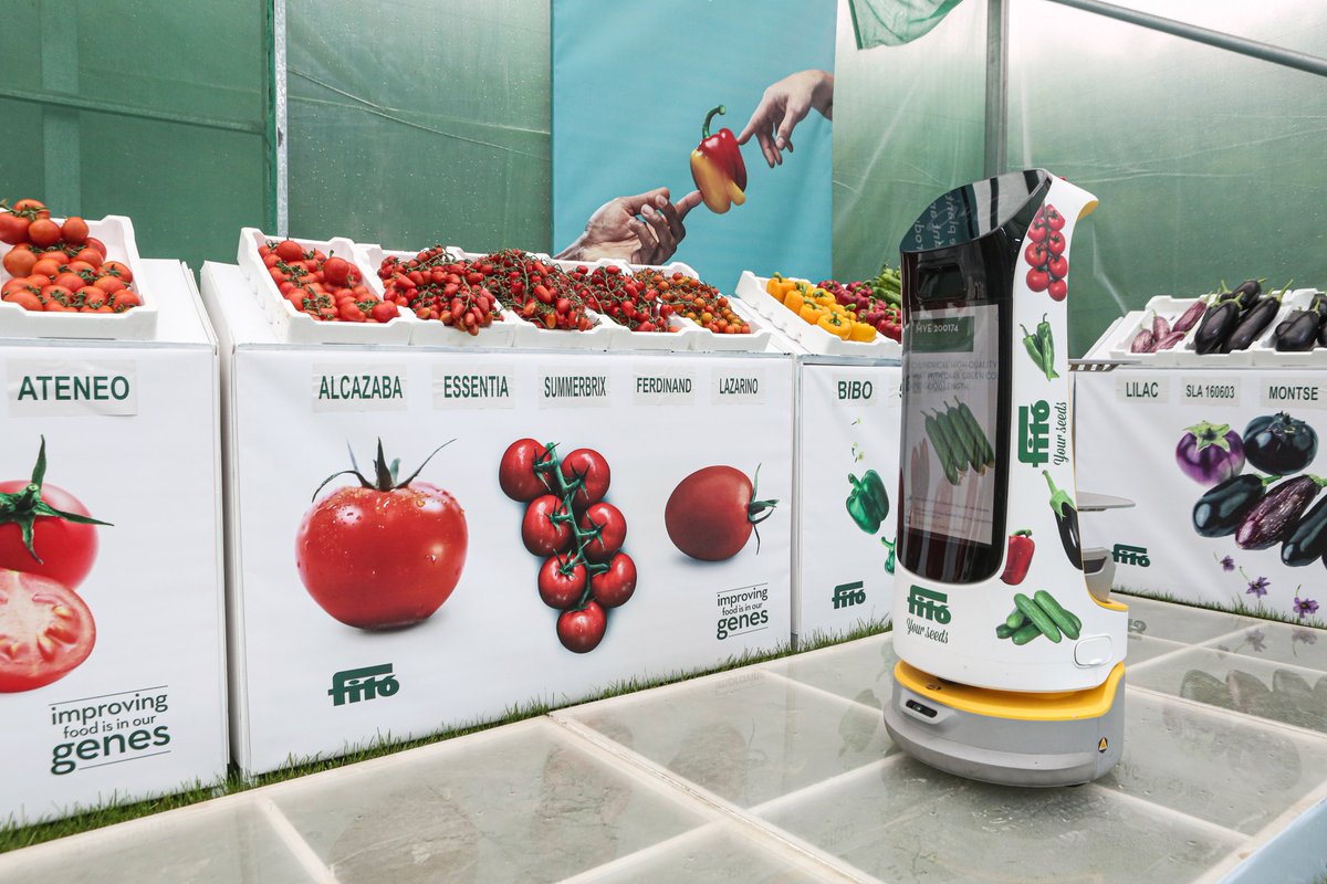 SemillasFito's tweet photo. 🇯🇴 #FitoWeek Middle East 2023 edition was organized in Jordan 🥒🍅
🙌 We have invited all our clients from all over the Middle East and outside of the region to see our varieties and our new office 🏢 https://t.co/IXHi50AMSQ