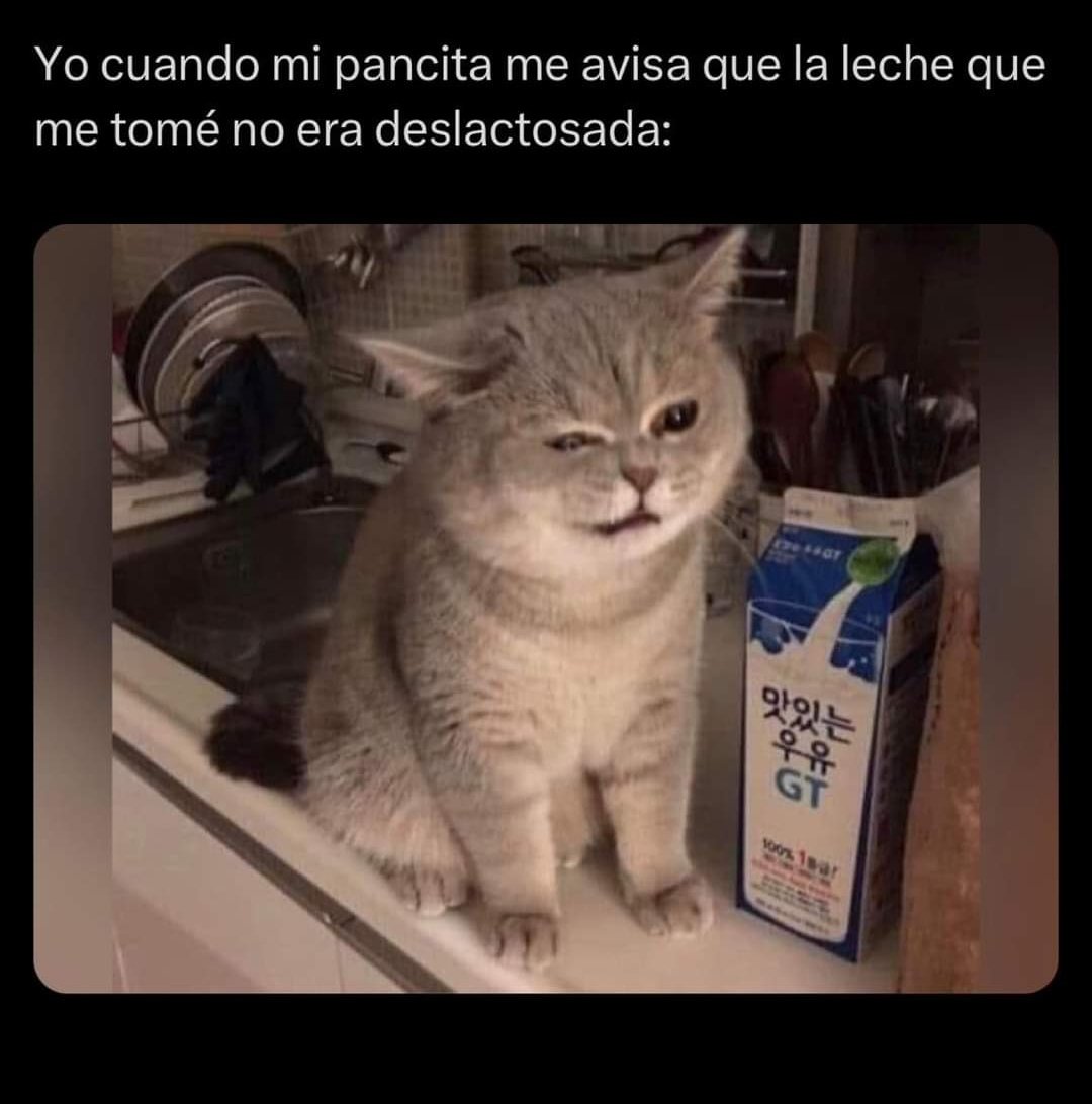 Daann_T's tweet photo. Aiuda #Memes https://t.co/VFMpm0vyyQ