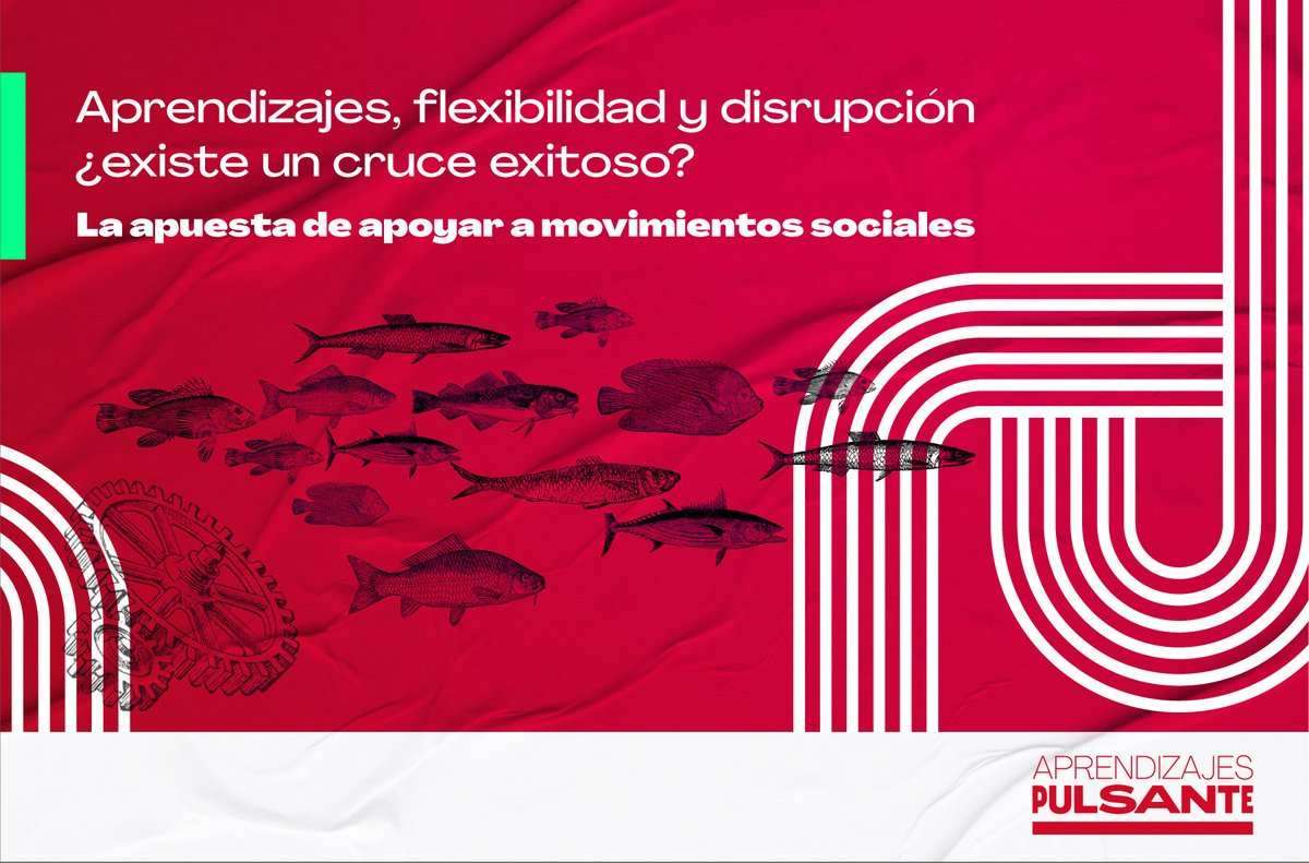 ¡3 años!
#BlogPosts No.3⃣

Aprendizajes, flexibilidad y disrupción ¿existe un cruce exitoso?
La apuesta de apoyar a #MovimientosSociales

"era necesario buscar una forma más líquida para apoyar a los movimientos y grupos que hacen vibrar las calles"

🔴👉 bit.ly/Pulsante03